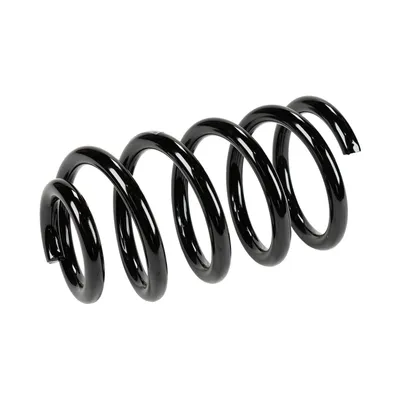 Rear suspension spring