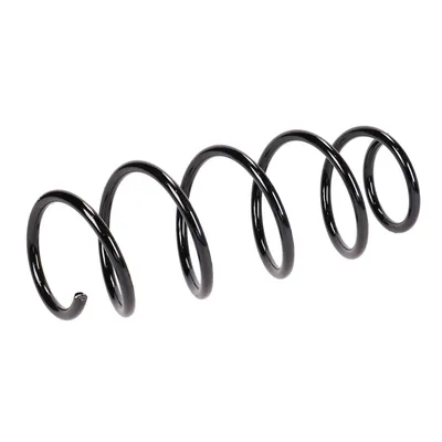 Front suspension spring