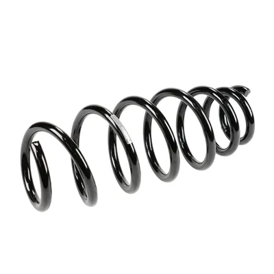 Front suspension spring