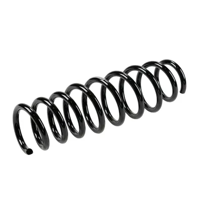 Rear suspension spring