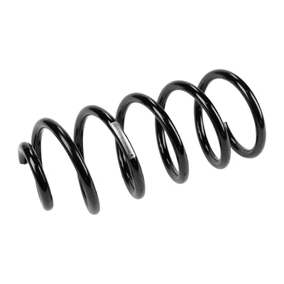 Rear suspension spring
