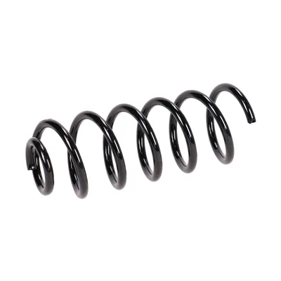 Rear suspension spring