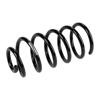 Rear suspension spring