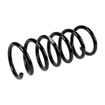 Rear suspension spring