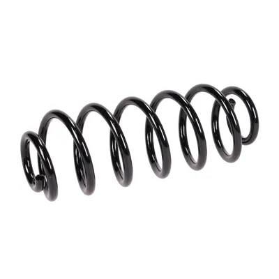 Rear suspension spring