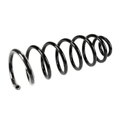 Rear suspension spring