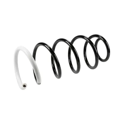 Front suspension spring