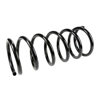 Front suspension spring
