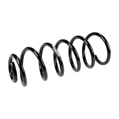 Rear suspension spring