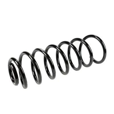 Rear suspension spring