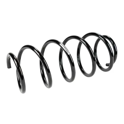 Front suspension spring