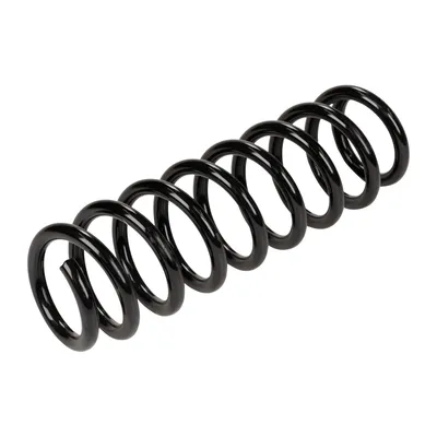 Coil spring rear