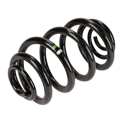 Coil spring rear