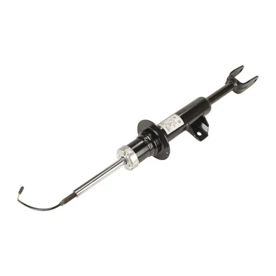 Front left shock absorber