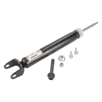 Rear left shock absorber