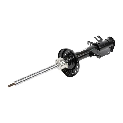Rear left shock absorber