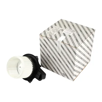 Heater fan motor