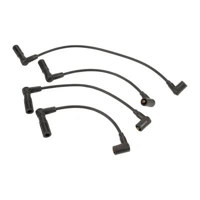 Ignition cable set