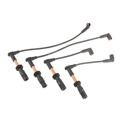 ignition cable set