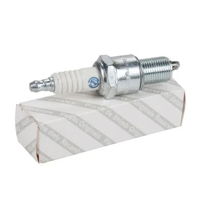 Spark plug