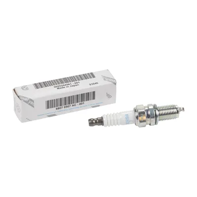 Spark plug