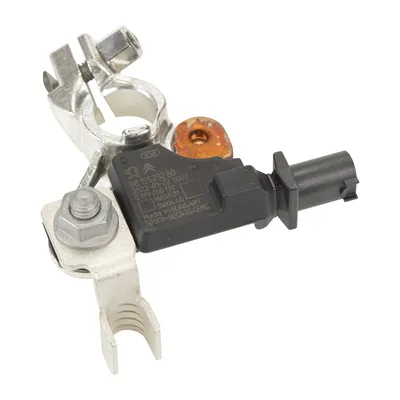 Battery Management Sensor