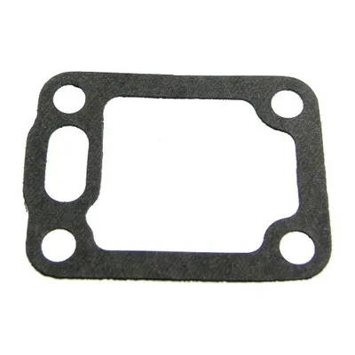 Gasket for alternator holder