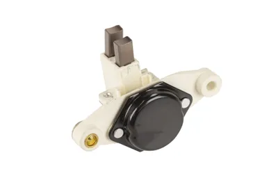 Alternator regulator internal