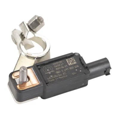 Pole terminal with temperature sensor