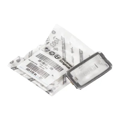 License plate light