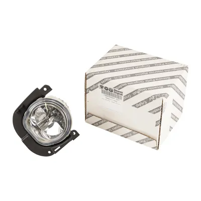 Fog light right H1