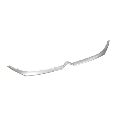 Grey trim strip radiator grille upper part logo