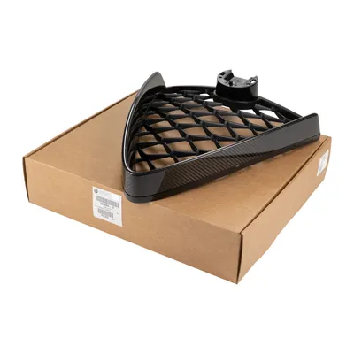 Radiator grille with carbon inserts