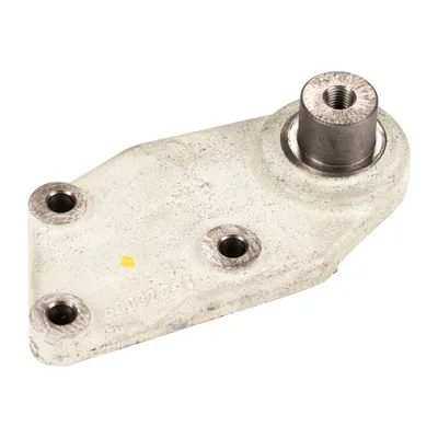 Bearing holder for the belt tensioner