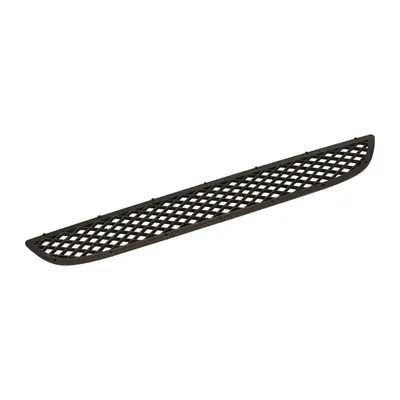 Grille in bumper