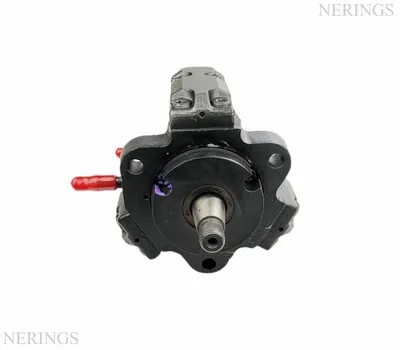 Einspritzpumpe generalüberholt (Bosch) -Nērings
