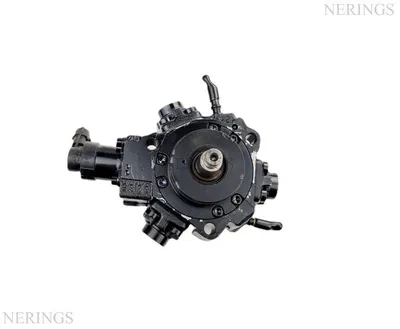 Einspritzpumpe (Bosch)-Nērings