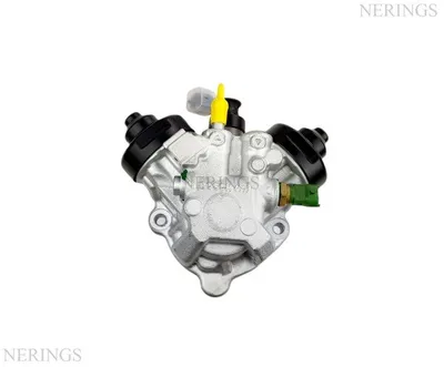 Einspritzpumpe generalüberholt (Bosch) -Nērings