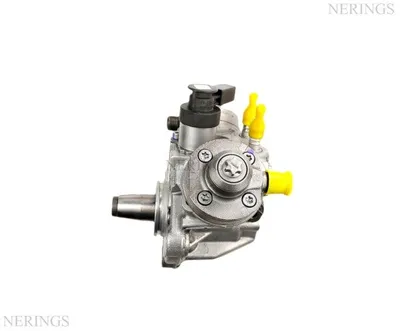Einspritzpumpe generalüberholt (Bosch) -Nērings