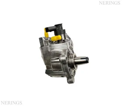 Einspritzpumpe generalüberholt (Bosch) -Nērings