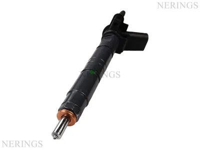 Einspritzdüse (Bosch-R)-Nērings