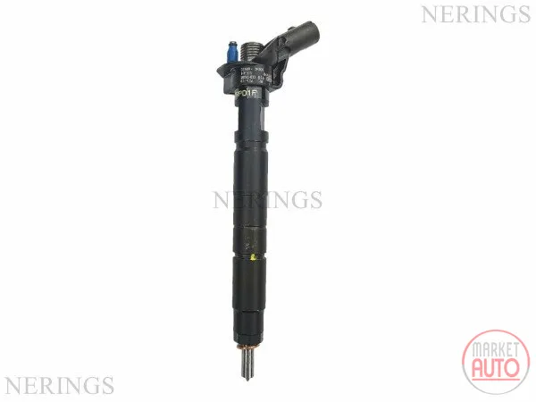 Diesel-Einspritzdüse überholt -Nērings