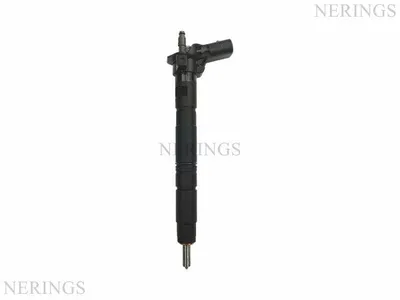 Diesel-Einspritzdüse wiederhergestellt (Bosch-R)-Nērings
