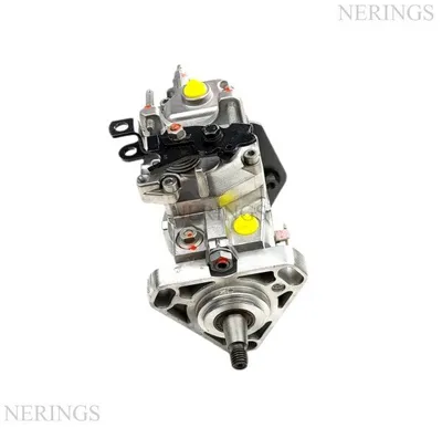 Einspritzpumpe  (Bosch)-Nērings