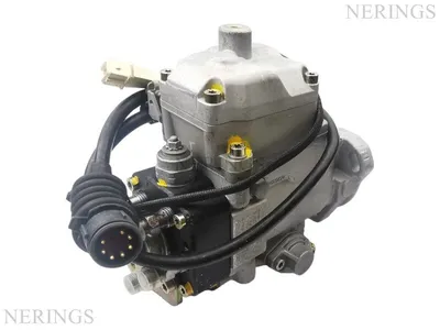 Einspritzpumpe (Bosch)-Nērings