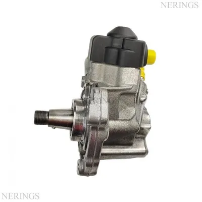 Einspritzpumpe (Delphi) -Nērings