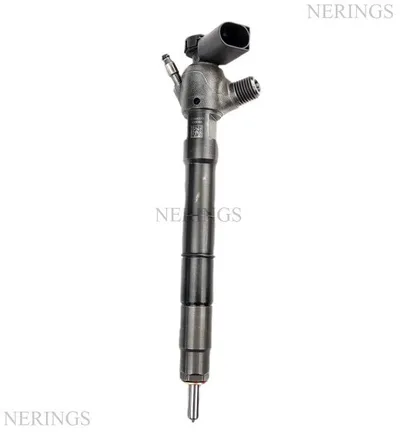 Einspritzdüse fuel injector restored -Nērings