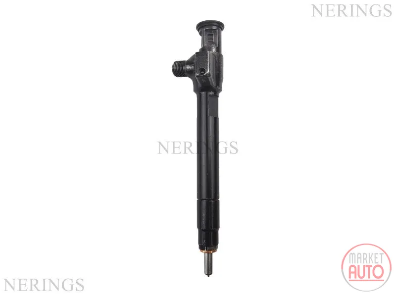 Einspritzdüse (Delphi-R)-Nērings