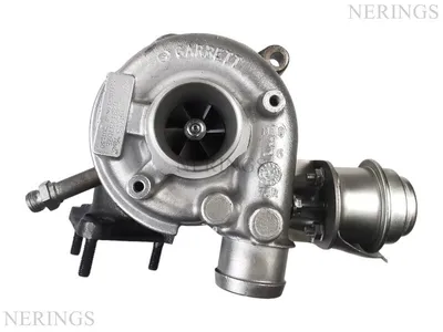 Generalüberholter Turbolader (GARRETT)-NĒRINGS