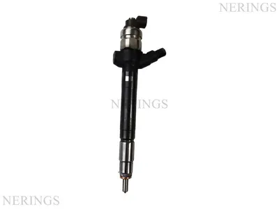 Diesel injectors remanufactured -Nērings